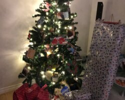 Lots of gifts under our tree!