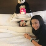 These are the friends that travel with me.