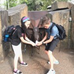 Sammy "Billy"and I feeding the garbage goat